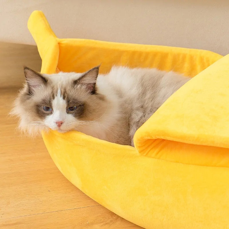 Beds For Kittens