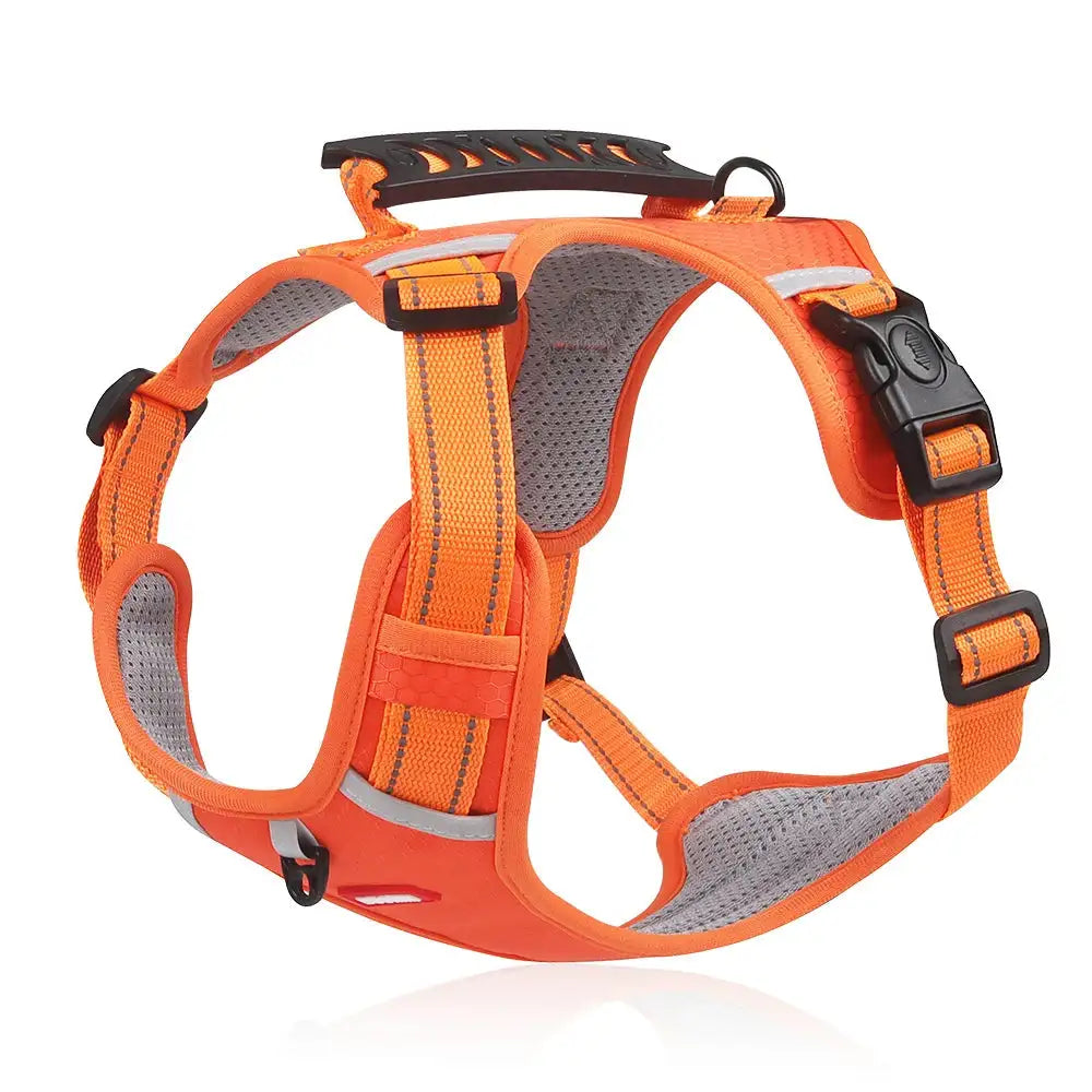 {{ product title }} Orange Without Reflective Leash S, M, L, XL