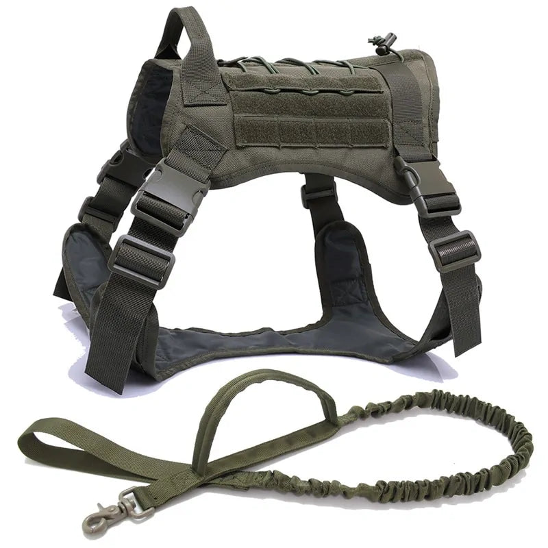 {{ product title }} RG Harness and Leash Extra Large