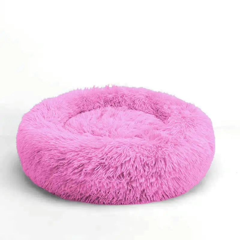 {{ product title }} Fuchsia 80cm