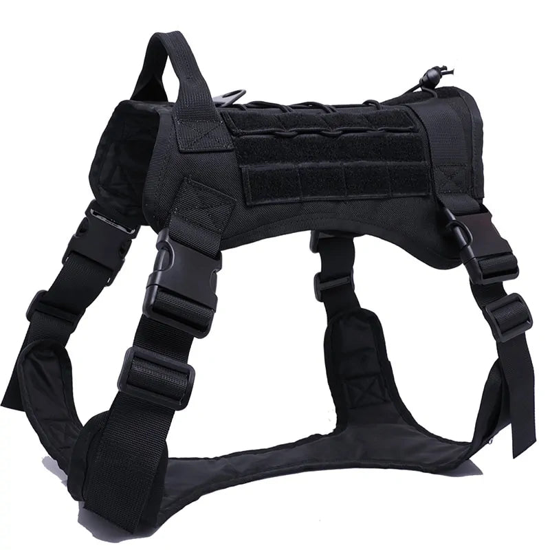 {{ product title }} Black Harness Medium