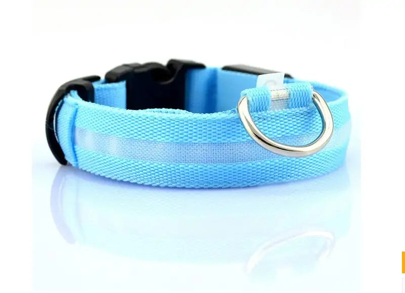 {{ product title }} Collar-Blue M