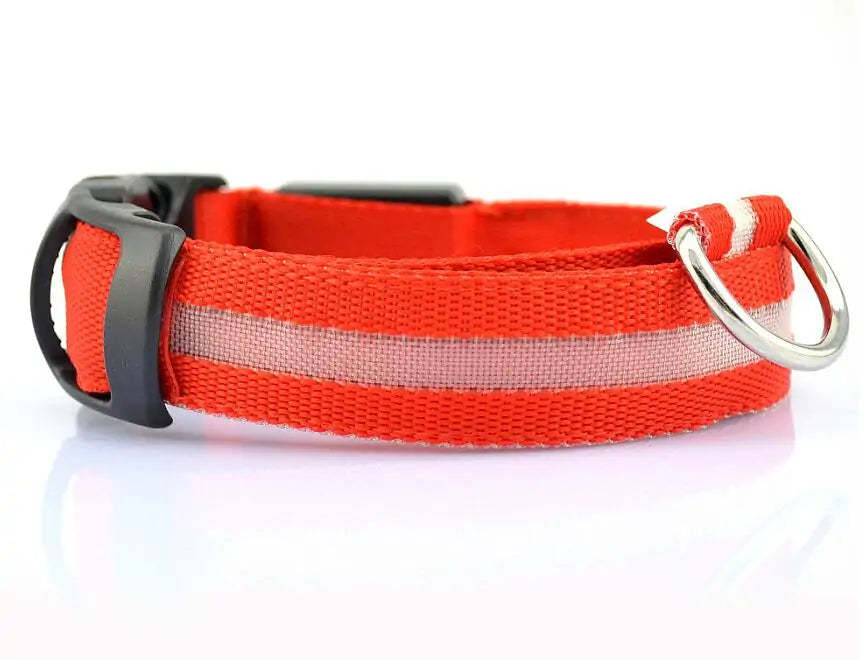 {{ product title }} Collar-Red L