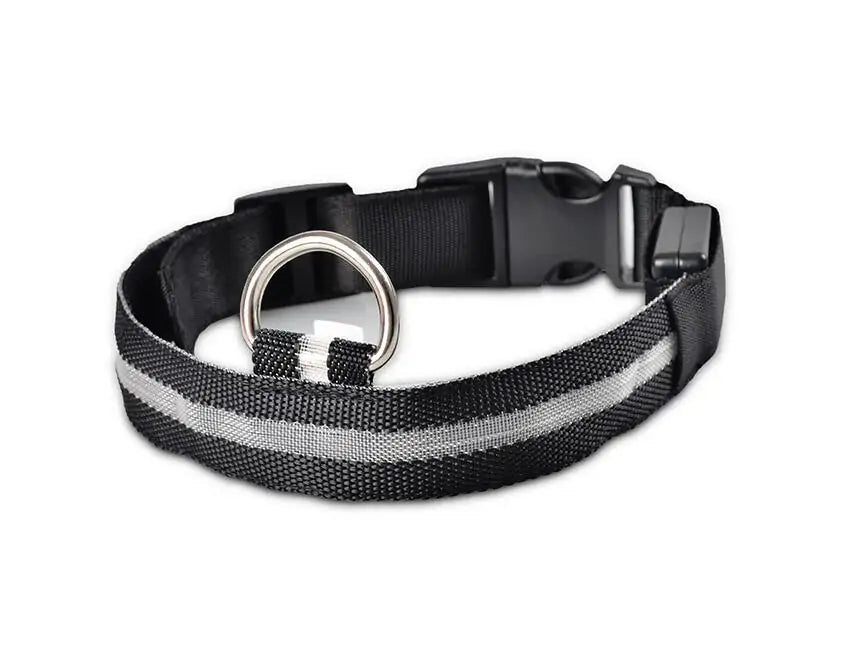 {{ product title }} Collar-Black XS