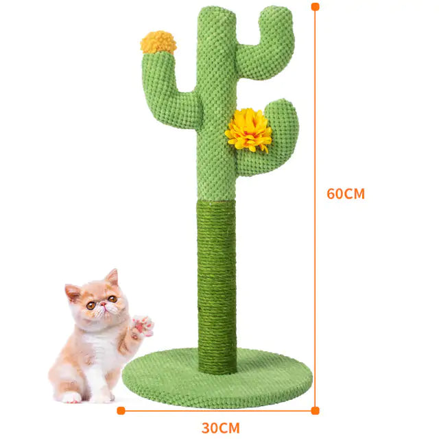 {{ product title }} Cactus 60x30cm