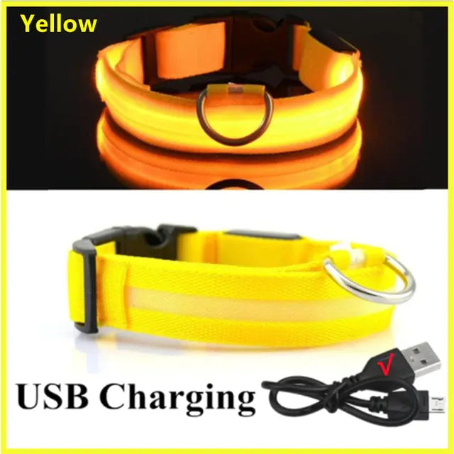 {{ product title }} Yellow USB Charging Extra Extra Large Neck 43-62 CM