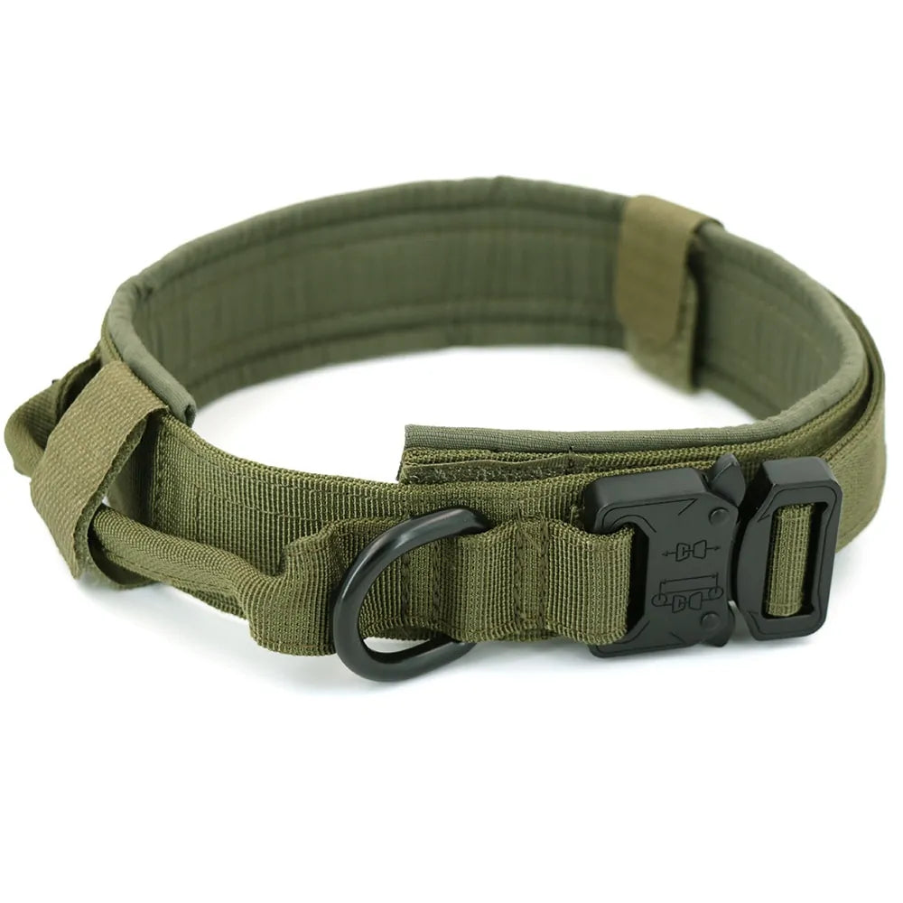 {{ product title }} Green Collar Medium (34-42cm)