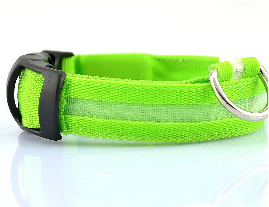 {{ product title }} Collar-Green XS