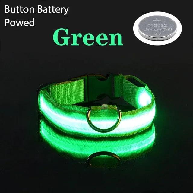 {{ product title }} Green Battery