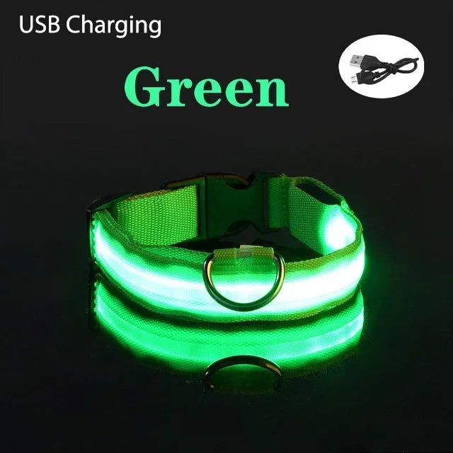 {{ product title }} Green USB Charging