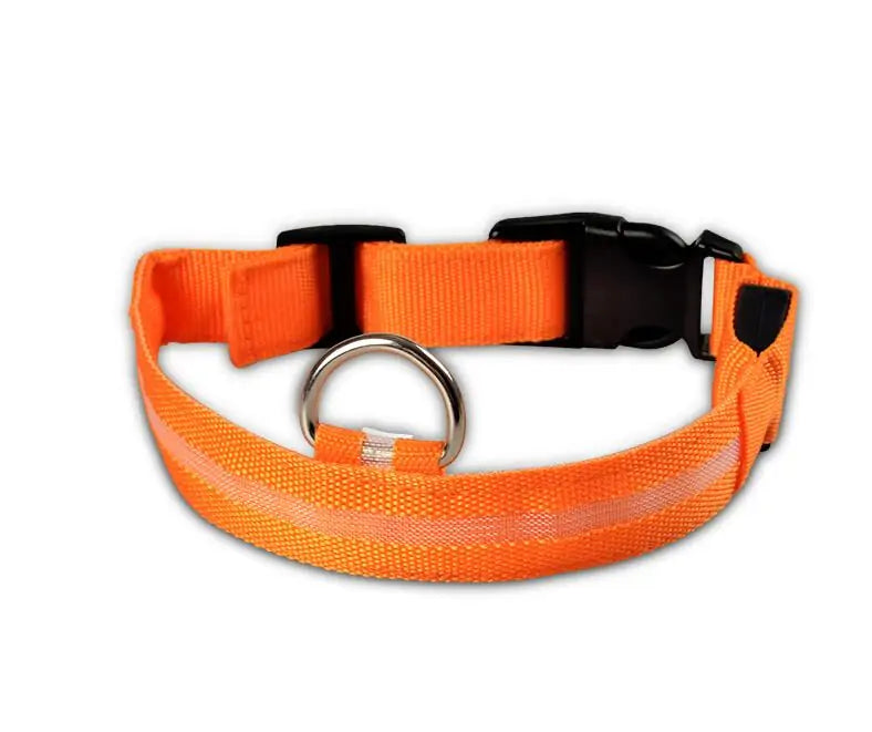 {{ product title }} Collar-Orange XS