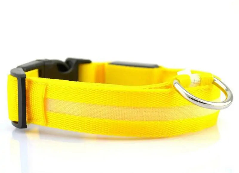 {{ product title }} Collar-Yellow XS