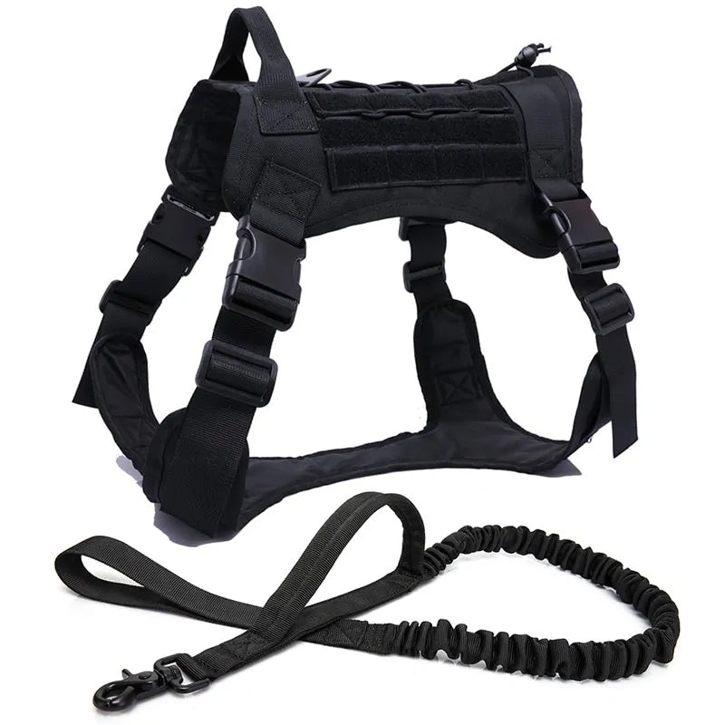 {{ product title }} BK Harness and Leash Large