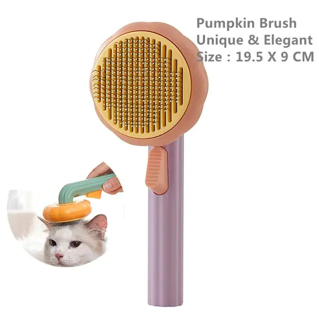 {{ product title }} Pumpkin Purple