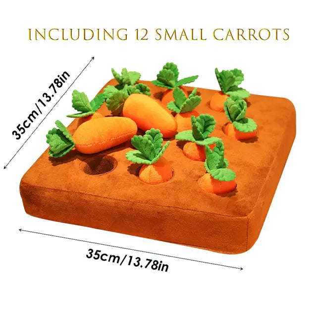 {{ product title }} Orange Carrot