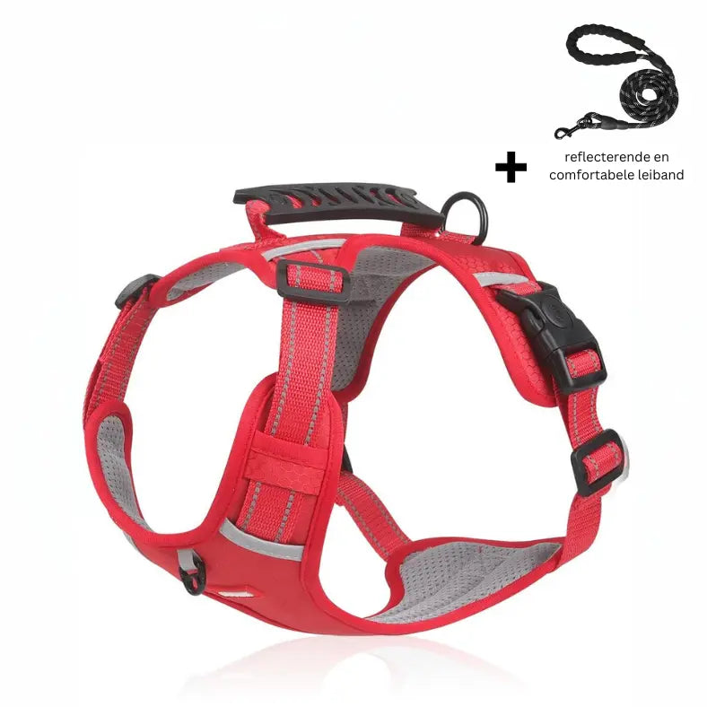 {{ product title }} Red With Reflective Leash S, M, L, XL